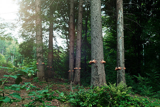 queremos salvar a natureza - abraçar árvore - fotografias e filmes do acervo