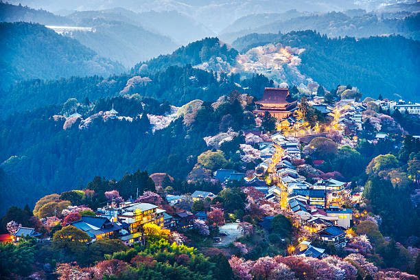 istock Yoshinoyama, Japan 488852217