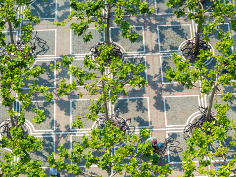 aerial view to zeil in frankfurt with trees