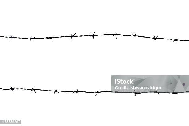 Silhouetted Barbed Wire Stock Photo - Download Image Now - Barbed Hook, Barbed Wire, Black Color
