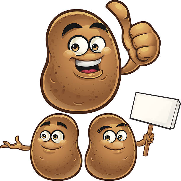 illustrations, cliparts, dessins animés et icônes de pommes de terre en dessin animé ensemble c - raw potato isolated vegetable white background