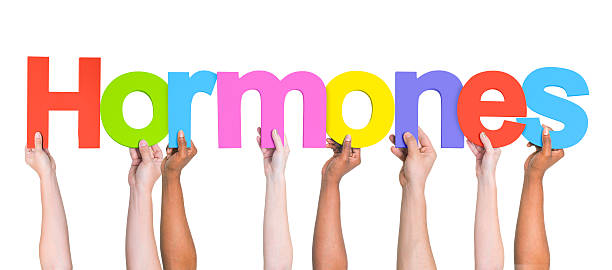 istock Group of Multiethnic Hands Holding Word Hormones 488869093