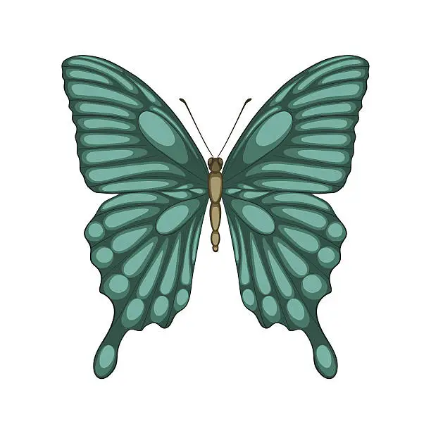 Vector illustration of Beautiful butterfly isolated on white. with watercolor effect.