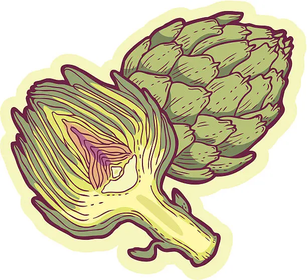 Vector illustration of Artichoke - Illustration