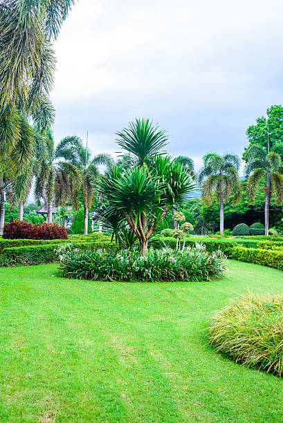 istock green trees in the garden 488871406