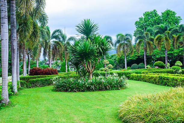 istock green trees in the garden 488871876