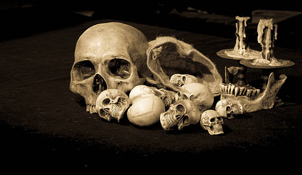 istock still life of skull with dark background 488871924