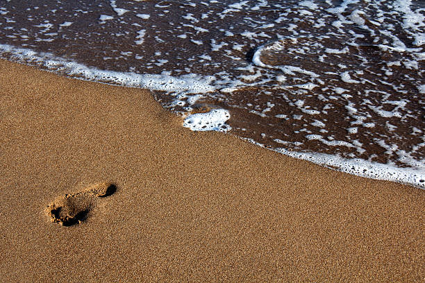 istock Footprint, Sand, Beach, Human Foot, Walking 488872028
