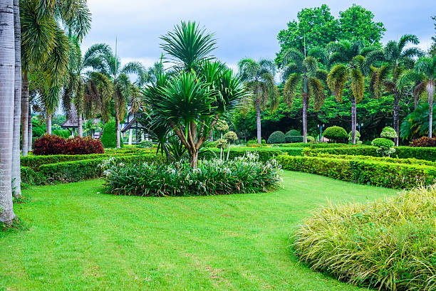 istock green trees in the garden 488872060