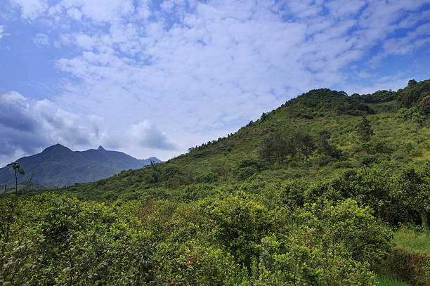 istock green mountain and clear sky in countryside 488872275