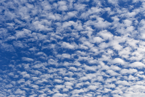 Altocumulus white clouds in sunny day