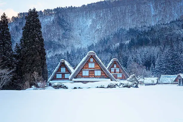 This place is Shirakawa-go (world heritage) in winter.