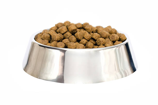 istock dog food isolated 488872755