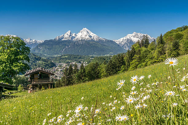 istock Bavarian Alps with beautiful flowers and Watzmann in springtime 488873548