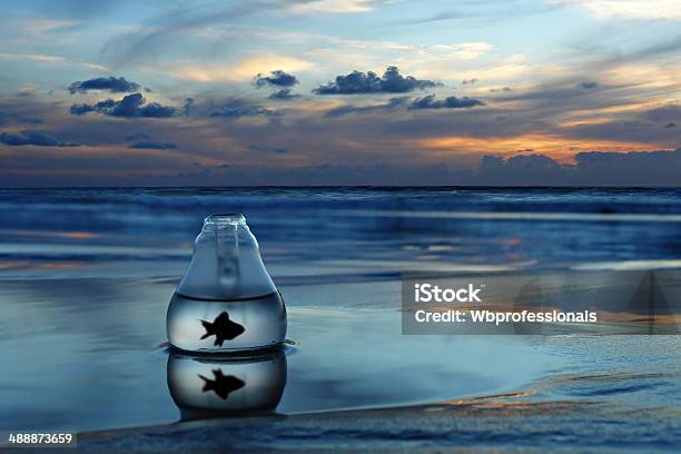 Fish In A Bottle Stock Photo - Download Image Now - Beach, Bottle, Fish