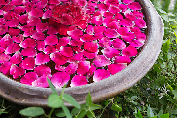 istock red rose petal floating water in bowl basin 488874936