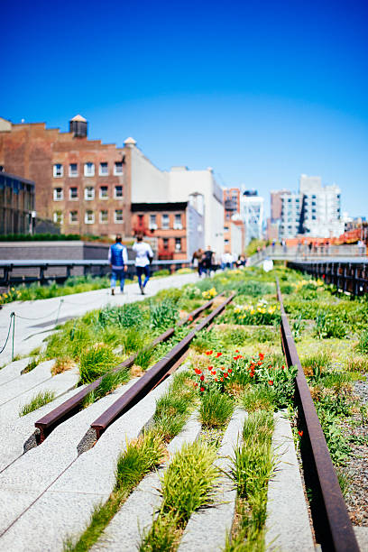 istock The High Line Park New York 488875245