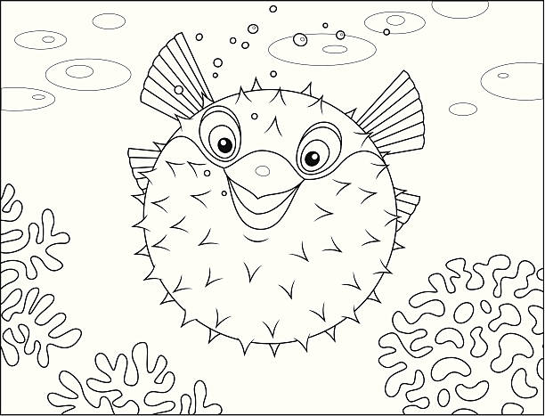 Puffer fish Puffer swimming on a coral reef in a tropical sea balloonfish stock illustrations