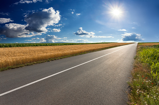 Driving on an empty asphalt road through the agricultural fields towards the setting sun.