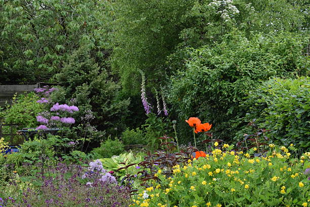 istock Country garden in summer, herbaceous border 488882610