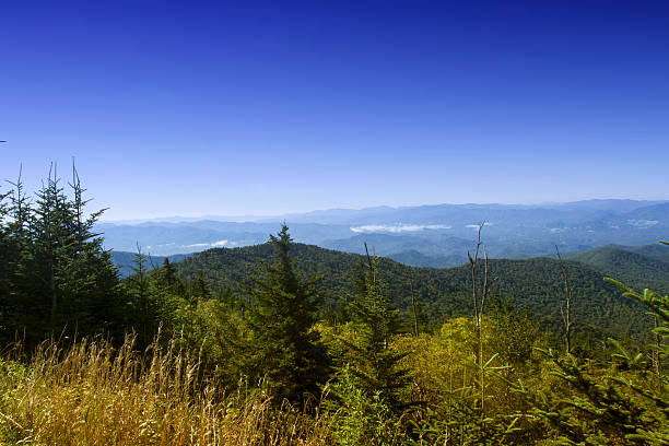 istock Fields at Great Smoky Mountain National Park 488885342