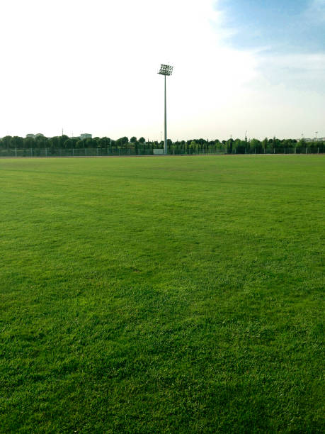 istock Grass turf on a sports field 488888407