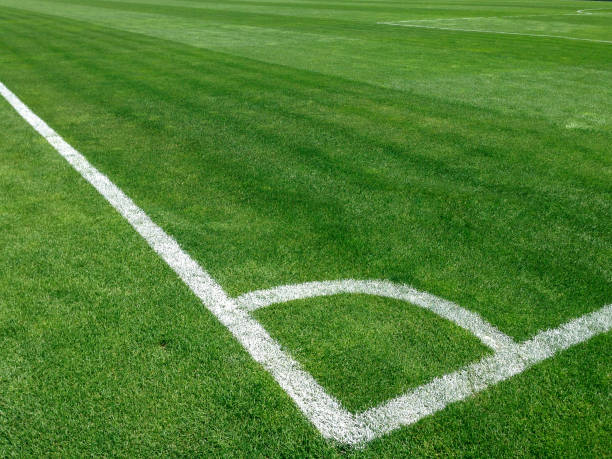istock Grass turf on a sports field 488889037