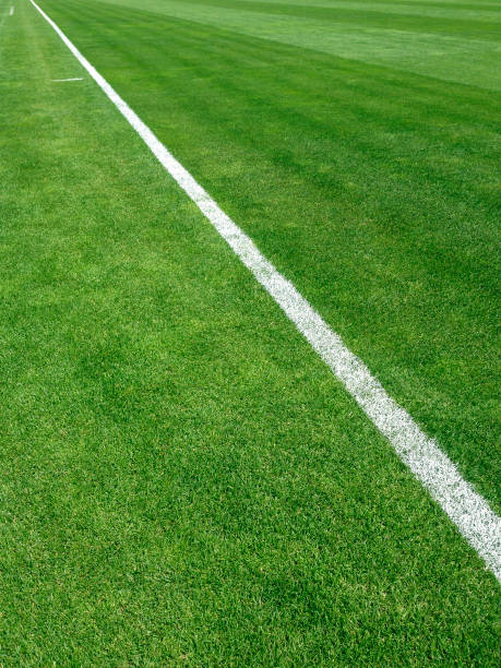 istock Grass turf on a sports field 488889389