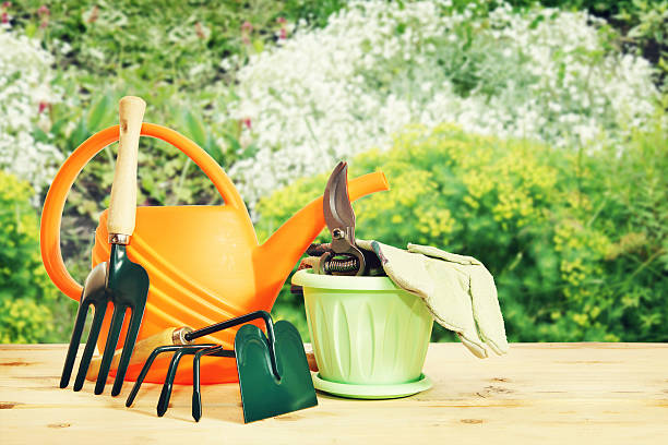 istock Various gardening tools in the garden outdoor 488892135