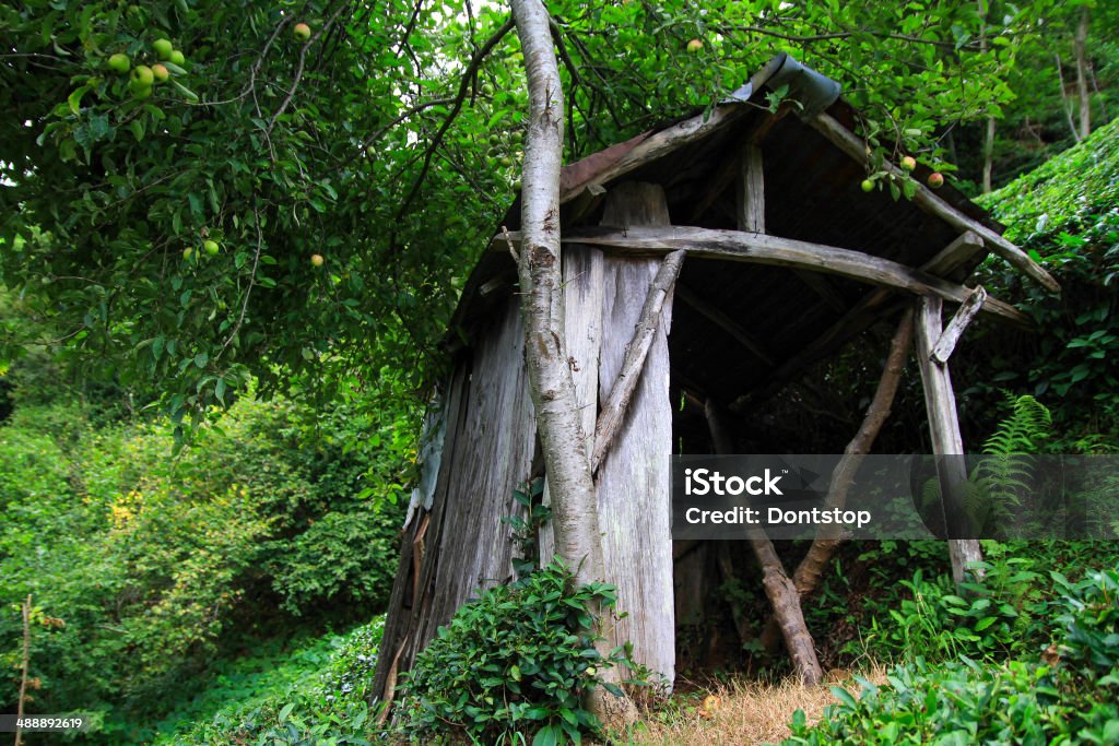 Vieille cabane en bois dans la forêt - Photo de Abri de plage libre de droits