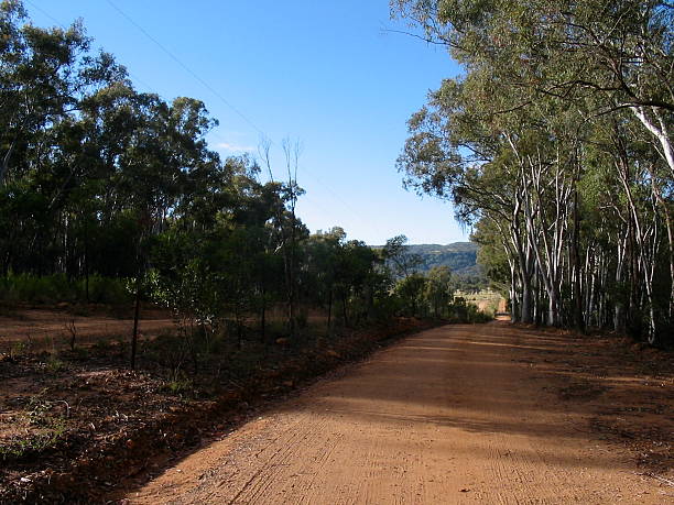 istock Outback Road in Australia Nobody 488892907