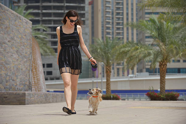 istock happy young woman with puppy have fun 488893117