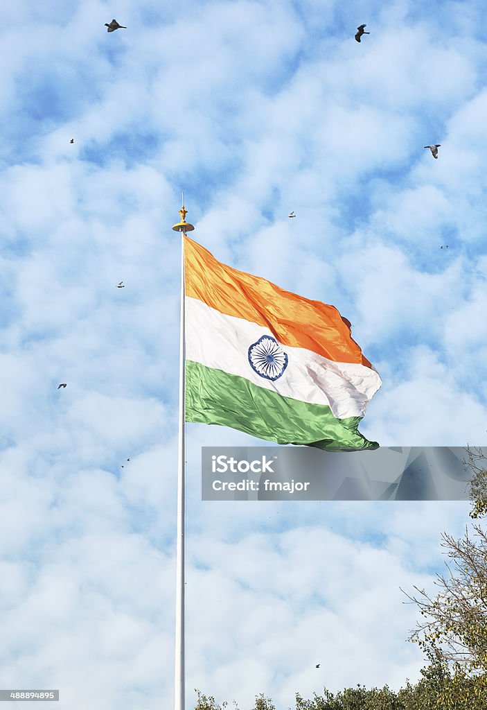 Indian Flag Stock Photo - Download Image Now - Asia, Bird, Blue - iStock