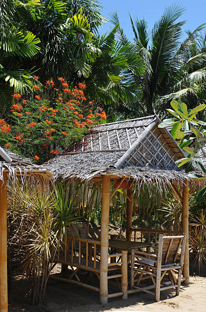 istock Summer house on the beach 488895167