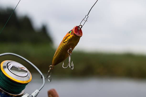 istock Plastic fishing lure wobbler on the spinning 488902598