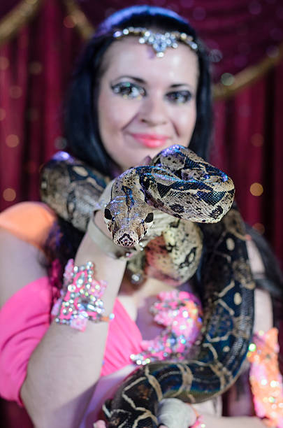 istock Portrait of Snake Charmer Dancer with Large Snake 488904124