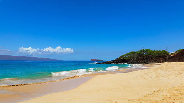istock Tropical Maui Hawaii Ocean Beach Scene 488904236