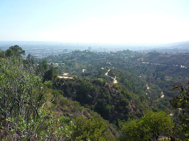 hollywood hills, los angeles, califórnia - port of venice - fotografias e filmes do acervo