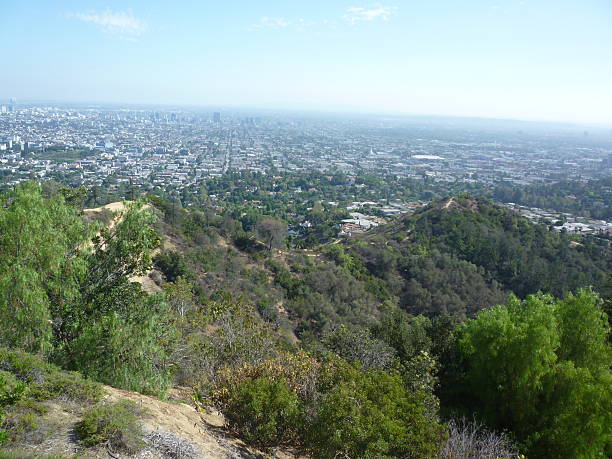 istock hollywood hills, los angeles, california 488904576