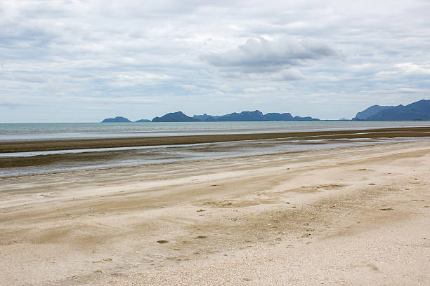 istock morning beach sea and sky 488906890
