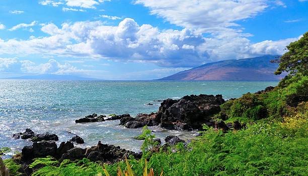istock Tropical Maui Hawaii Seascape 488907354