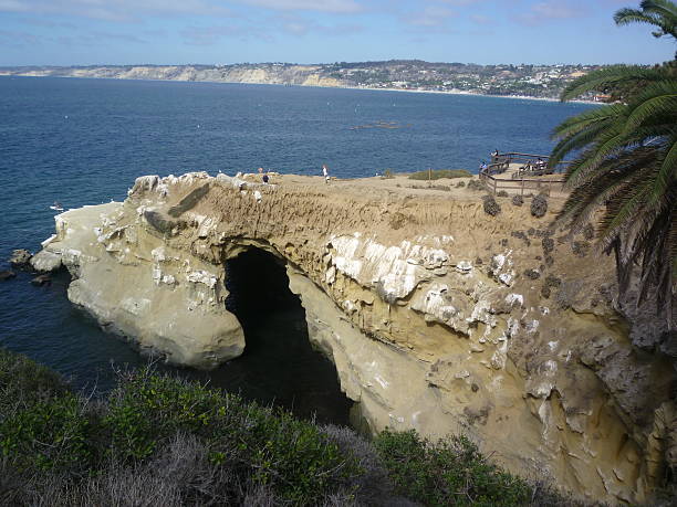 istock la jolla park beach, san diego, gardens 488907532