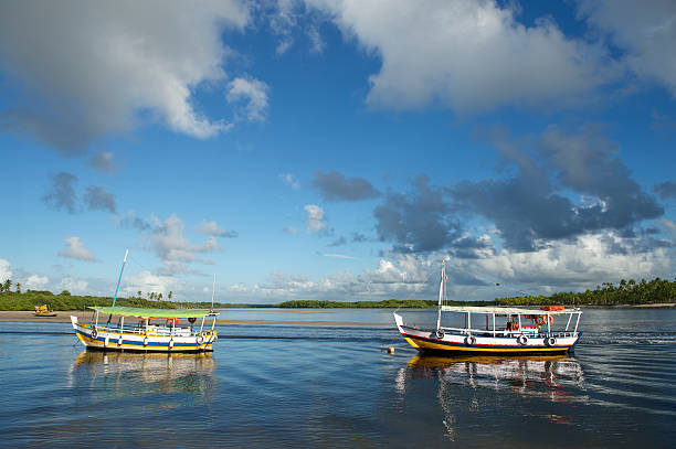 istock Brazilian Boats Tranquil Waters Nordeste Bahia 488909039