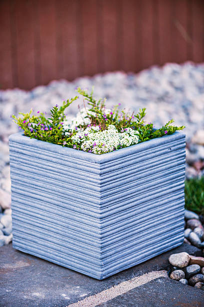 A closeup of a stone flower pot with a small green plant.