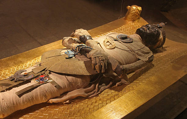 Egyptian mummy Cairo, Egypt - February 26, 2010: Mummy model in Egyptian village near Cairo show cased as tourist attraction resembling a real mummy from ancient times with old jewellery worn at the time tomb photos stock pictures, royalty-free photos & images