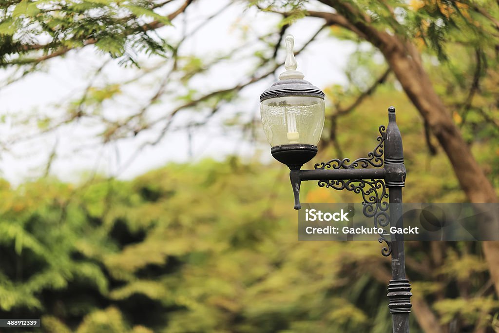 Autumn in garden Vachirabenjatas Park (Rot Fai Park),thailand Arch - Architectural Feature Stock Photo