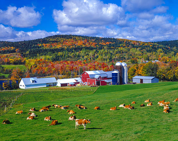 couleurs d'automne avec la ferme dans les green mountains, dans le vermont - vermont photos et images de collection