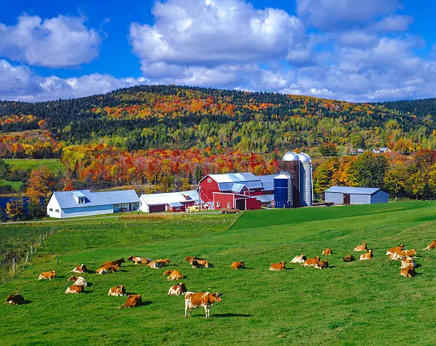 Photo of Autumn colors with farm in the Green Mountains, VT