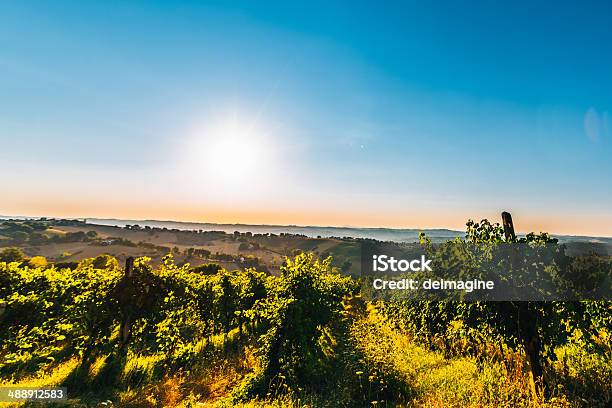 Sonnenaufgang In Der Toskana Vineyard Stockfoto und mehr Bilder von Agrarbetrieb - Agrarbetrieb, Anhöhe, Chianti-Region