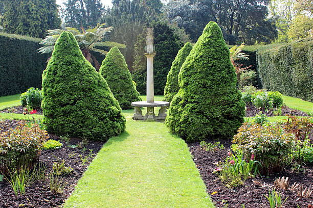 istock Image of formal garden with topiary trees, shrubs and sundial 488913527